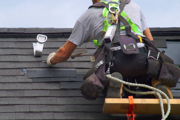 Best Roof Maintenance Services  in Holly Springs, NC