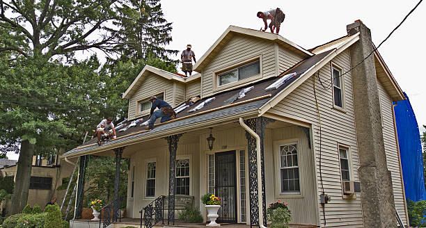 Best Roof Repair Services  in Holly Springs, NC