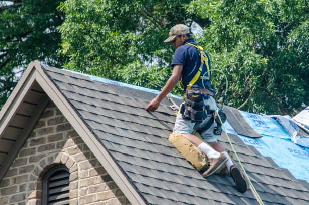 Best Storm Damage Roof Repair  in Holly Springs, NC